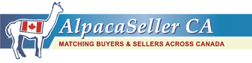 AlpacaSeller: Alpacas For Sale