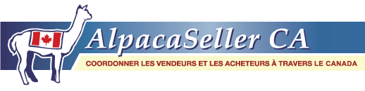 AlpacaSeller: Alpagas  vendre