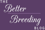 The Better Breeding Blog
