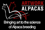 Artwork Alpacas