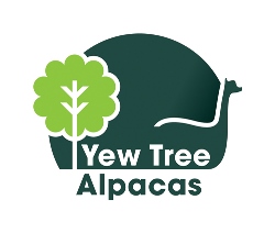Yew Tree Alpacas