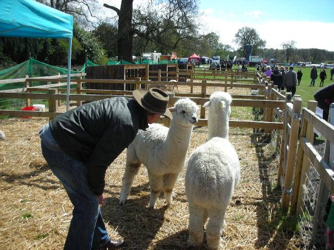 Charlie and Felipe' at Berkshire College of Agriculture