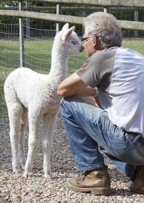 Armstrong...less than a month old...now ready to go..along with 10 more beautiful babes
