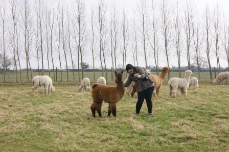 When Sheep, Goats & Alpaca magazine came to visit