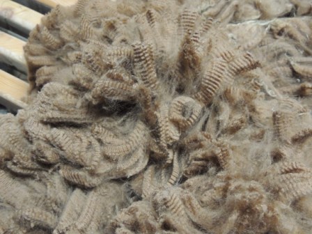 Ashbourne Scarlett O'Hara's fleece