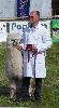 Bearhouse Herodotus - 2nd prize - Male Junior Light Fawn, Devon County Show 2013