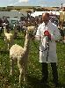 Roxy - 2nd White Intermediate Female - North Devon Show 2013