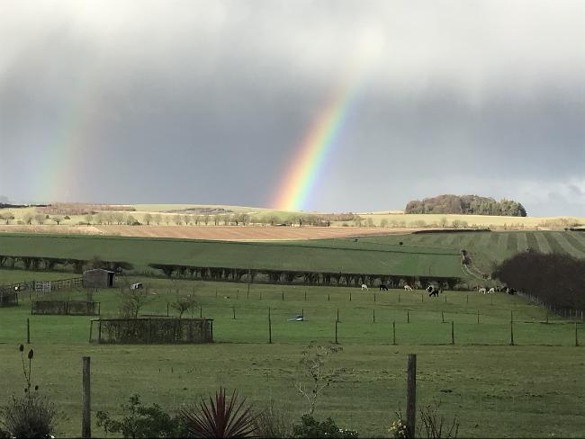 Farm photo for Watership Alpacas