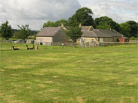 Farm photo for Nero Black Alpaca