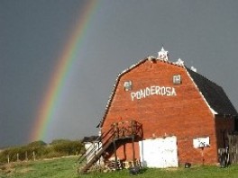 Farm photo for Ponderosa Alpacas