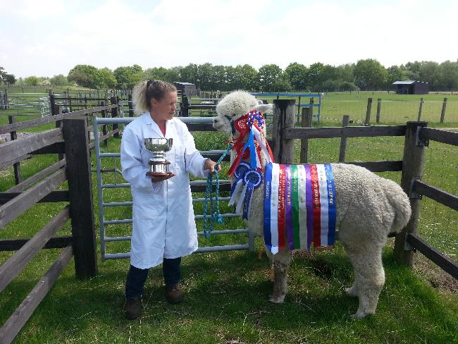 Farm photo for Chestnut Farm Alpacas