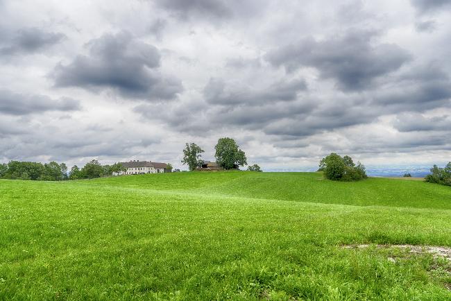 Farm photo for Oberstein-Alpacas