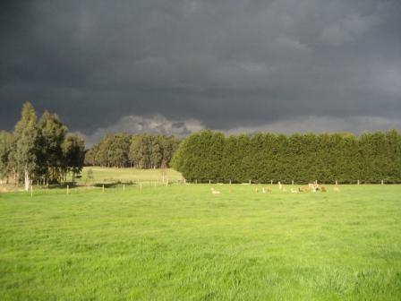 Farm photo for Ashbourne Alpacas