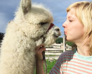 Hof Foto von Blue Moon Alpacas