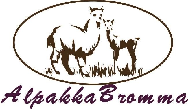 Grdsbilde for Alpakka Bromma