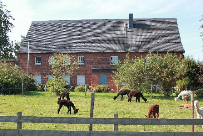 Foto boerderij voor DeLaLuna Alpaca