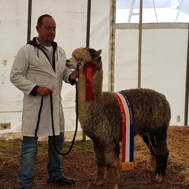 Farm photo for Arkadia Alpacas