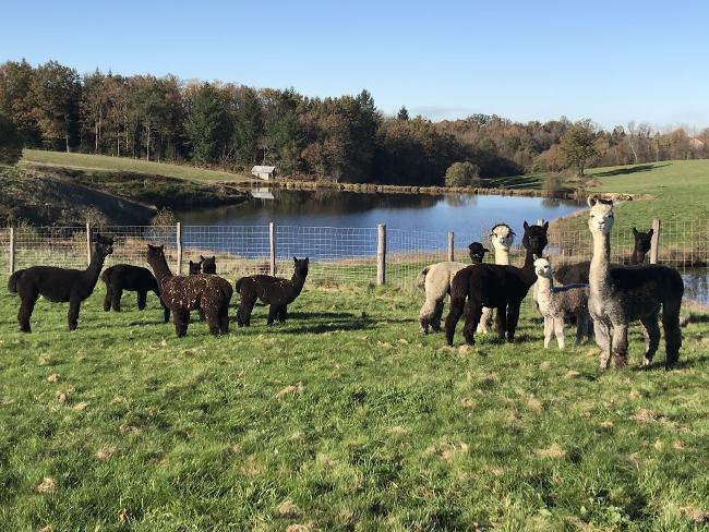 Photo de la ferme pour ALPAGANIE