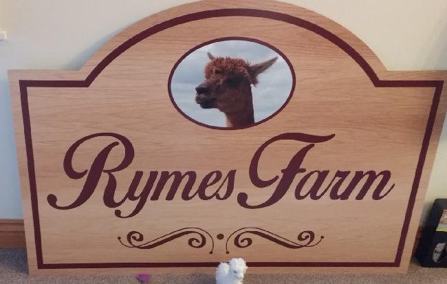 Farm photo for Rymes Farm Alpacas