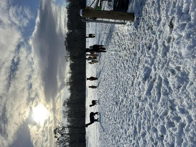 Farm photo for Allpa Alpacas