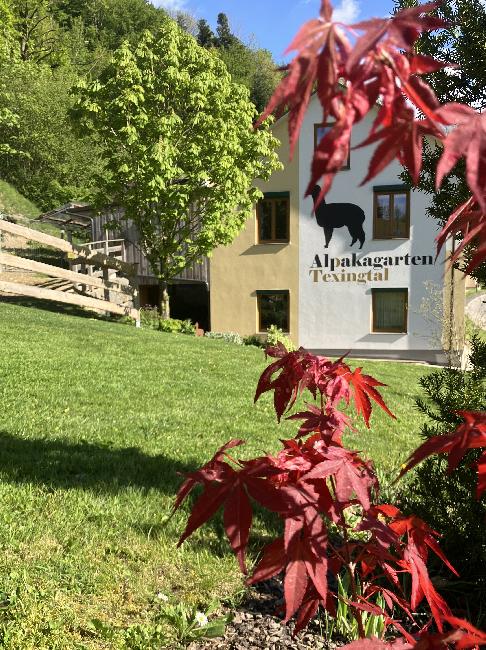 Hof Foto von Alpakagarten Texingtal
