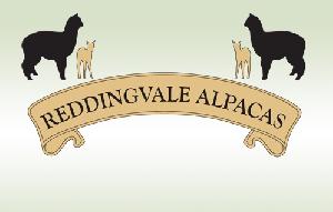 Reddingvale Alpacas