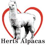 HERTS ALPACAS