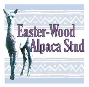 Easter-Wood Alpaca Stud