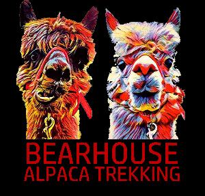 Bearhouse Alpacas