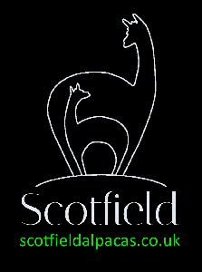 Scotfield Alpacas