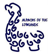 Alpacas of the Lowlands