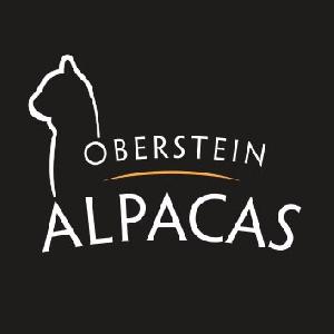 Oberstein-Alpacas