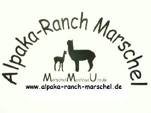 Alpaka-Ranch-Marschel
