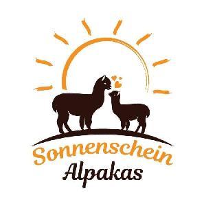 Sonnenschein-Alpakas