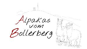 Alpakas vom Bollerberg