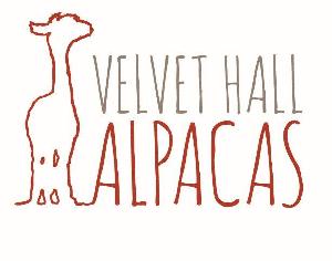 Velvet Hall Alpacas