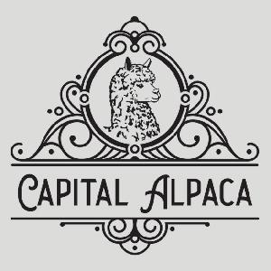 Capital Alpaca Ltd