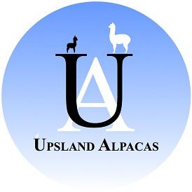 UPSLAND ALPACAS