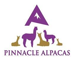 Pinnacle Alpacas