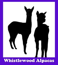 Whistlewood Alpacas