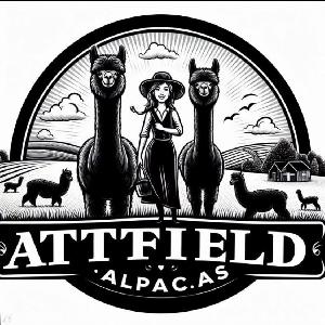 Attfield Alpacas