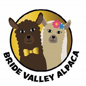 Bride valley alpaca