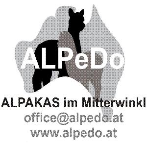Alpedo - Alpakas im Mitterwinkl