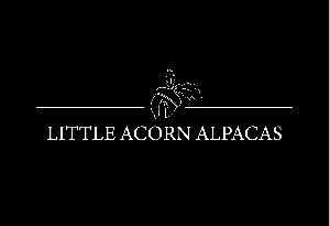 Little Acorn Alpacas