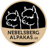 Nebelsberg Alpakas