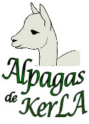 ALPAGAS de KerLA