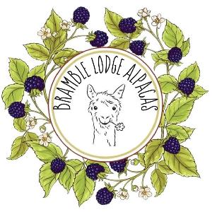 Bramble Lodge alpacas