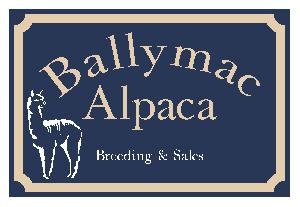 Ballymac Alpaca