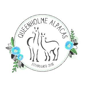 Queenholme Alpacas