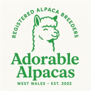 Adorable Alpacas